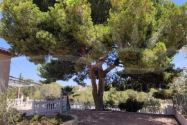Sale - Villa - Pinar de Campoverde