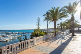 New Build - Apartment/Flat - Pilar de la Horadada