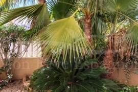 Sale - Villa - Pinar de Campoverde