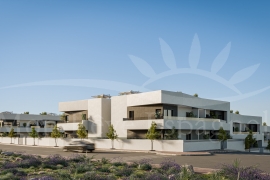 Nouvelle Construction - Appartement - San Miguel de Salinas