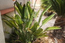 Sale - Villa - Pinar de Campoverde