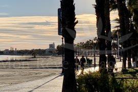 New Build - Villa - LOS ALCAZARES - LOS NAREJOS