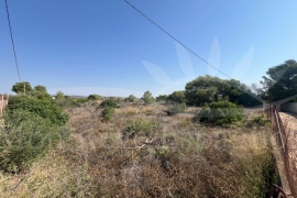 Sale - Piece of land - Pilar de la Horadada - Pinar de la Perdiz