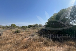 Sale - Piece of land - Pilar de la Horadada - Pinar de la Perdiz