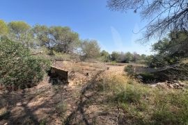 Sale - Piece of land - Pilar de la Horadada - Pinar de la Perdiz