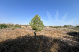 Sale - Piece of land - Pilar de la Horadada - Pinar de la Perdiz