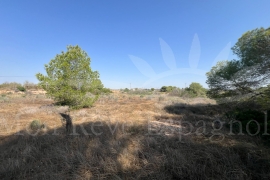 Sale - Piece of land - Pilar de la Horadada - Pinar de la Perdiz