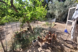 Sale - Villa - Pinar de Campoverde