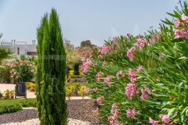 New Build - Apartment/Flat - Orihuela - Vistabella Golf