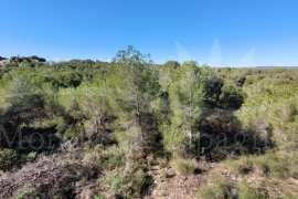 Venta - Chalet - Pinar de Campoverde