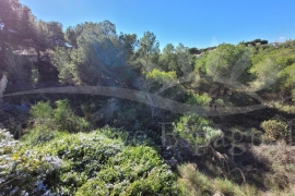 Venta - Chalet - Pinar de Campoverde
