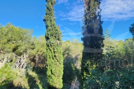 Sale - Villa - Pinar de Campoverde