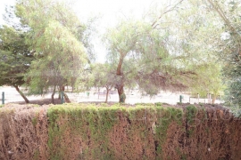 À vendre - Appartement - Orihuela costa - Playa Flamenca