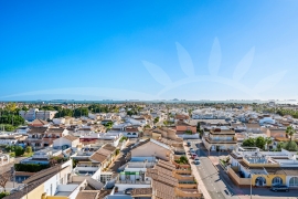 Nouvelle Construction - Appartement - LOS ALCAZARES - LOS NAREJOS