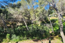 Venta - Chalet - Pinar de Campoverde