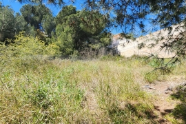 Sale - Plot - Pinar de Campoverde