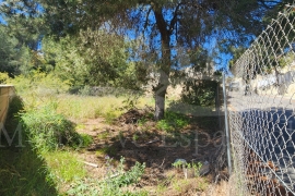 Sale - Plot - Pinar de Campoverde