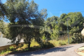 Sale - Plot - Pinar de Campoverde