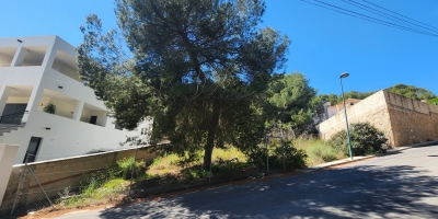 Plot - Sale - Pinar de Campoverde - Pinar de Campoverde