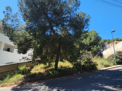 Plot - Sale - Pinar de Campoverde - Pinar de Campoverde