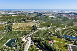 Venta - Chalet - Pinar de Campoverde