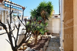 Venta - Chalet - Pinar de Campoverde