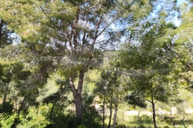 Venta - Bungalow - Pinar de Campoverde