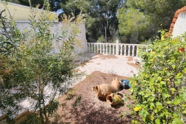 Venta - Bungalow - Pinar de Campoverde