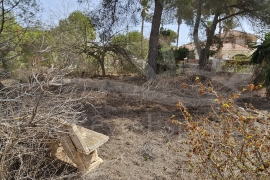 À vendre - Terrain - Pinar de Campoverde
