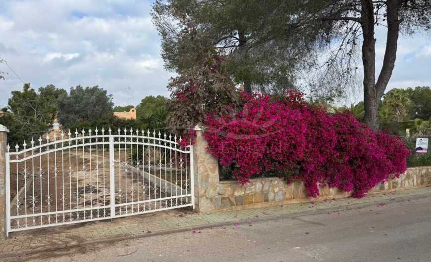 À vendre - Terrain - Pinar de Campoverde