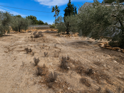 Plot - Sale - Pinar de Campoverde - Pinar de Campoverde