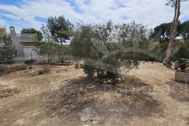 À vendre - Terrain - Pinar de Campoverde