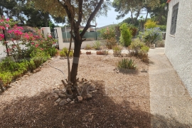 Venta - Chalet - Pinar de Campoverde