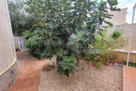 À vendre - Maison - Pinar de Campoverde