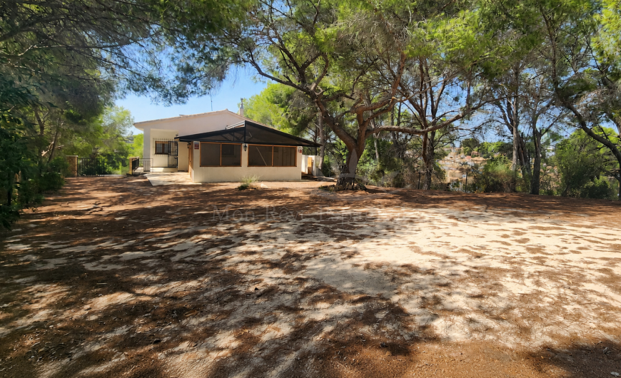 À vendre - Maison - Pinar de Campoverde