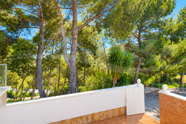 Alquiler a largo plazo - Bungalow - Pinar de Campoverde