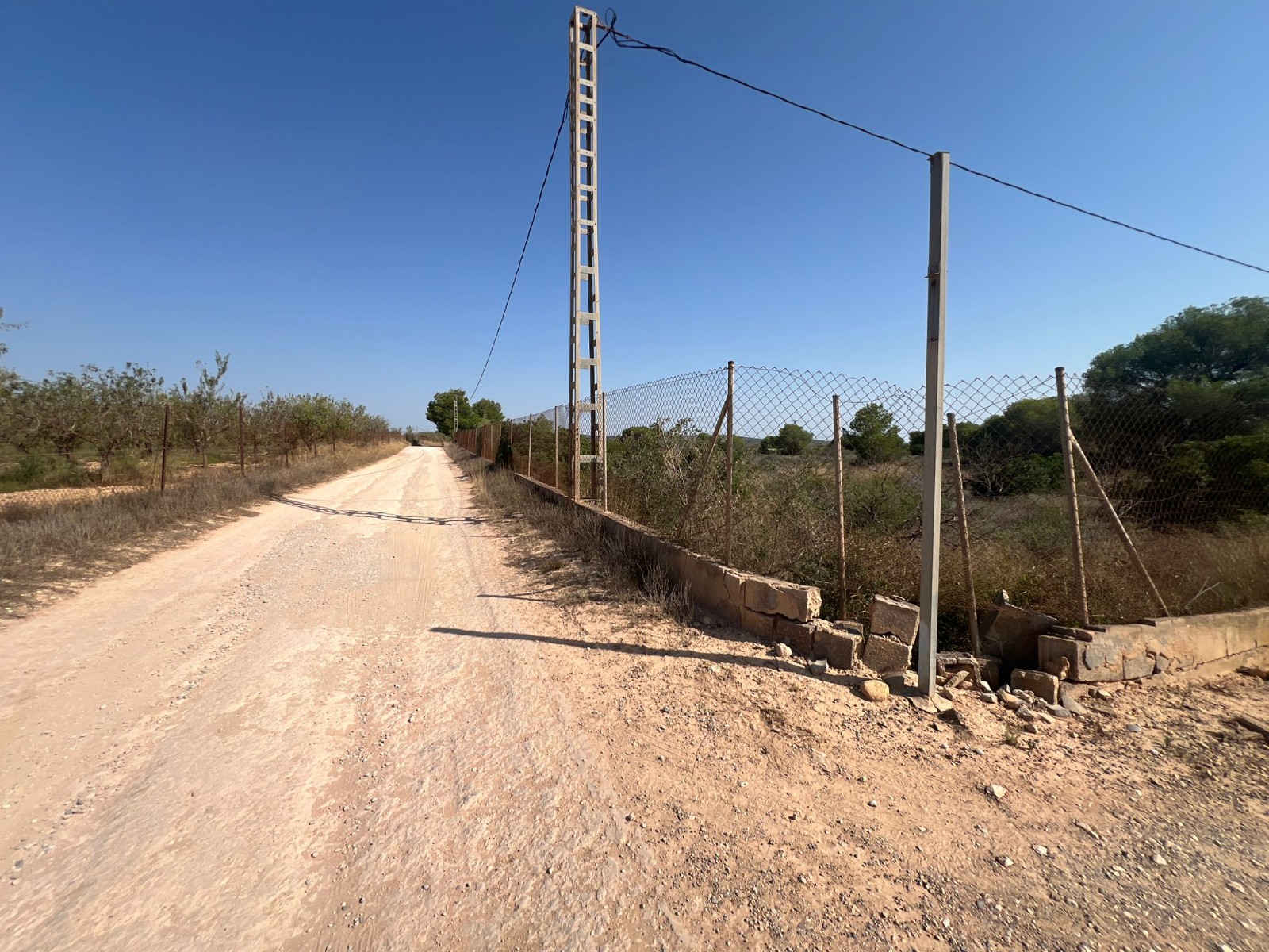 Terreno · Reventa - Pilar de la Horadada · Pinar de la Perdiz · Alicante · España