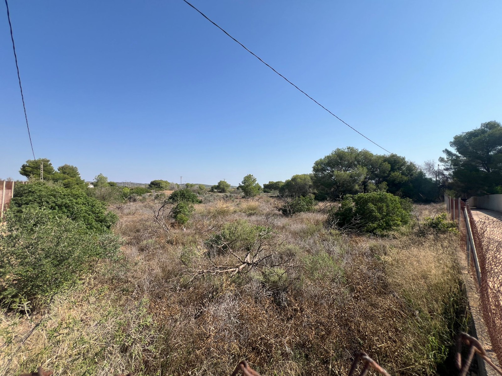 Terreno · Reventa - Pilar de la Horadada · Pinar de la Perdiz · Alicante · España