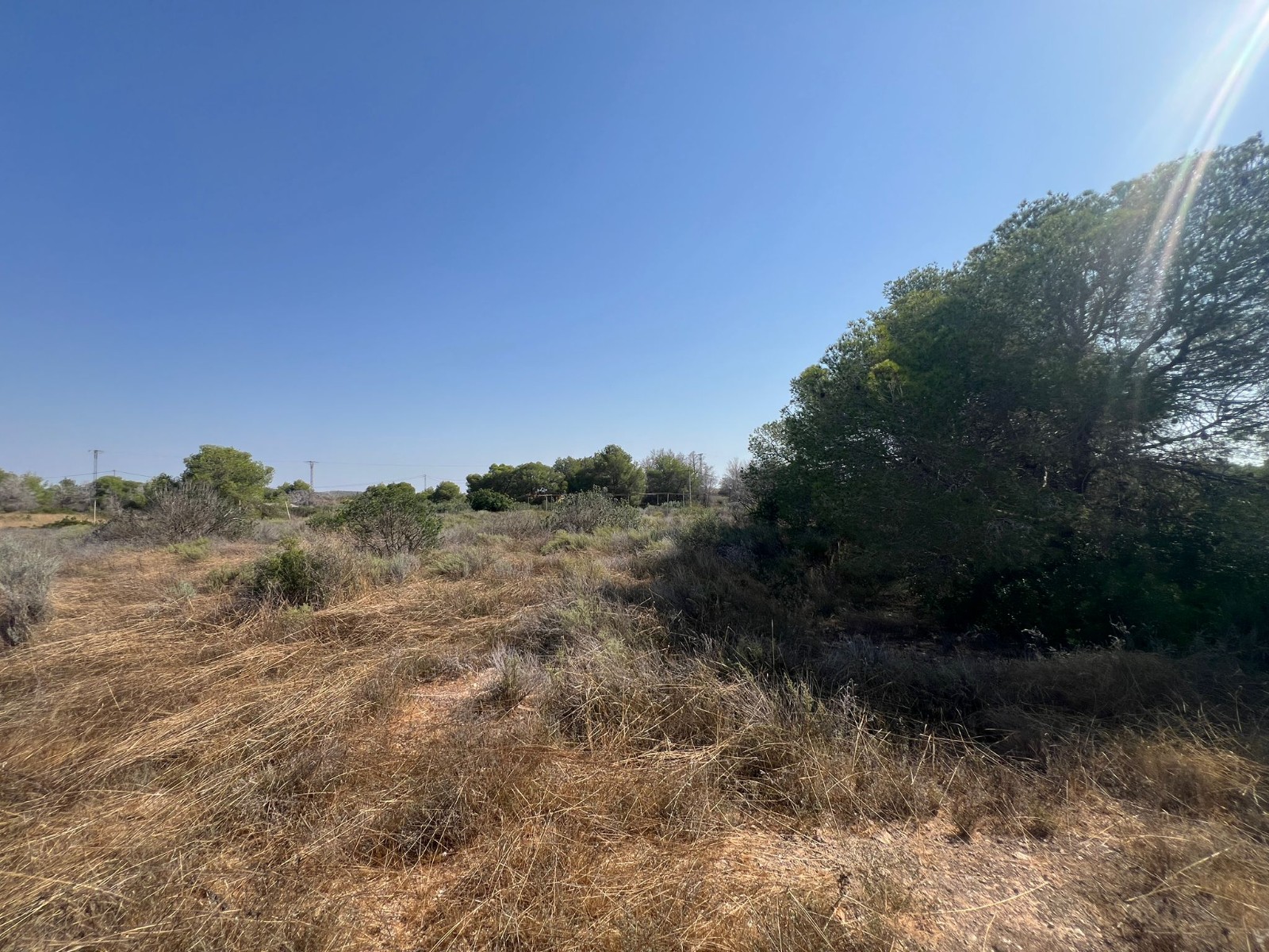 Terreno · Reventa - Pilar de la Horadada · Pinar de la Perdiz · Alicante · España