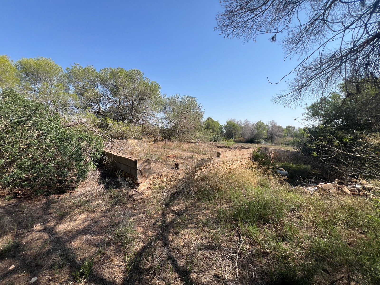 Terreno · Reventa - Pilar de la Horadada · Pinar de la Perdiz · Alicante · España