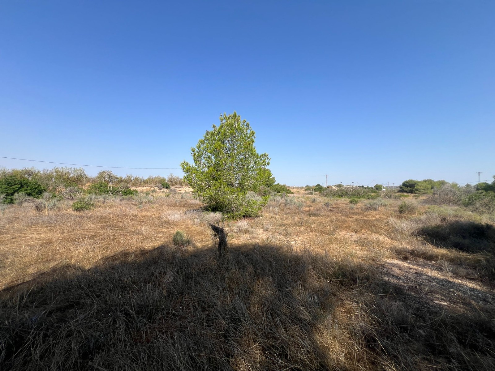 Terreno · Reventa - Pilar de la Horadada · Pinar de la Perdiz · Alicante · España