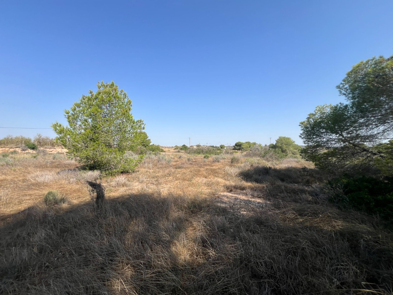 Terreno · Reventa - Pilar de la Horadada · Pinar de la Perdiz · Alicante · España