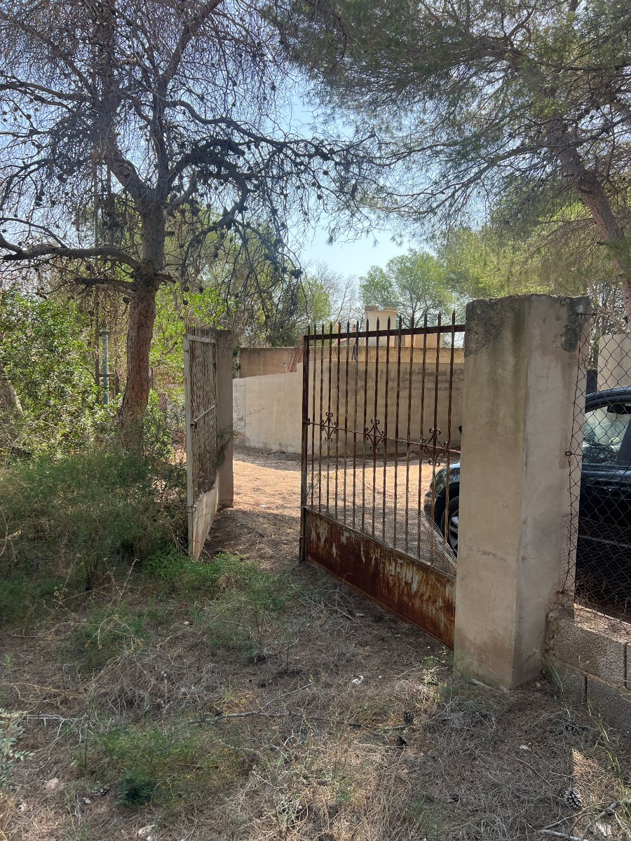 Terreno · Reventa - Pilar de la Horadada · Pinar de la Perdiz · Alicante · España