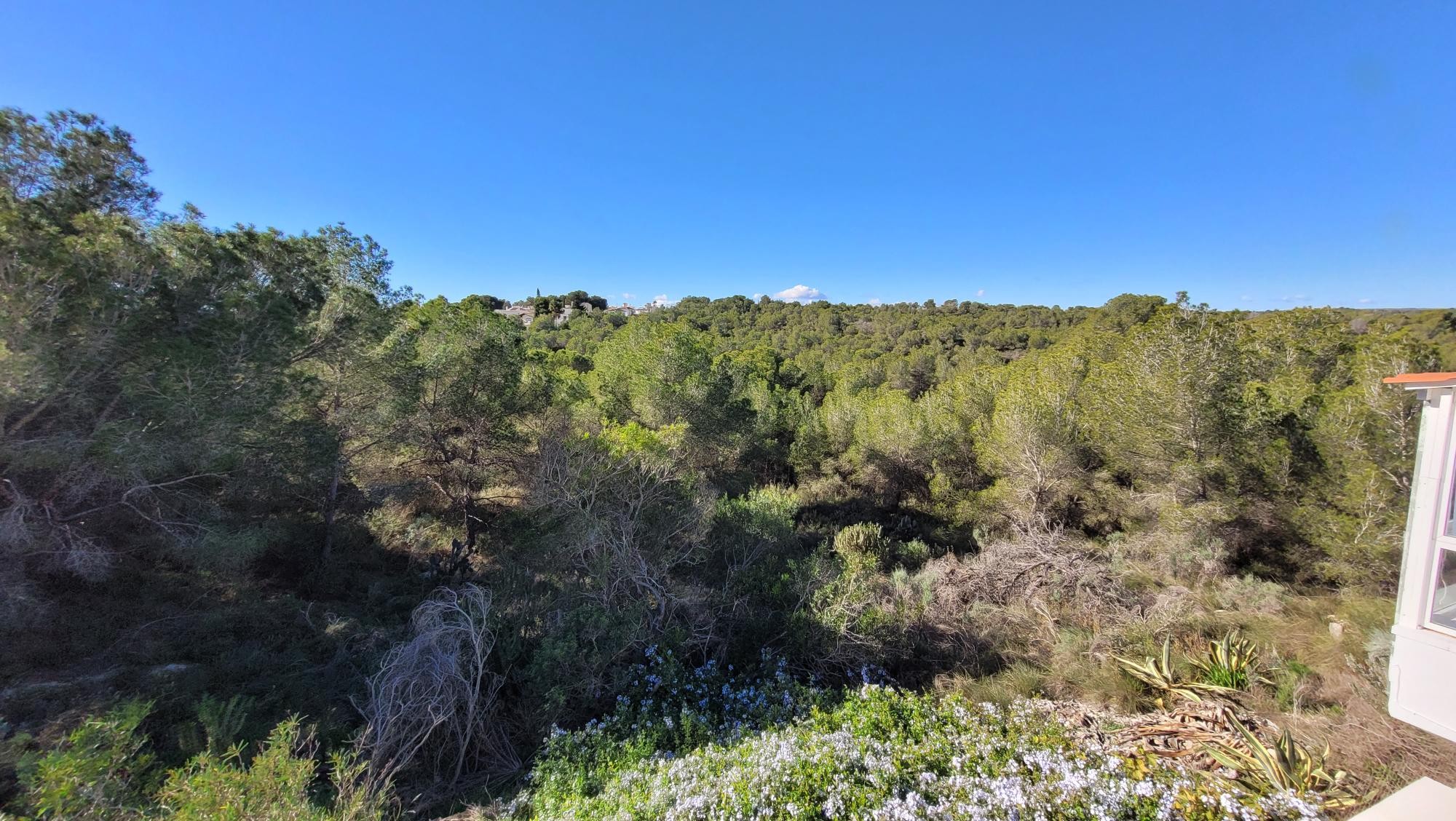 Casa · Reventa - Pilar de la Horadada · Pinar de Campoverde · Alicante · España