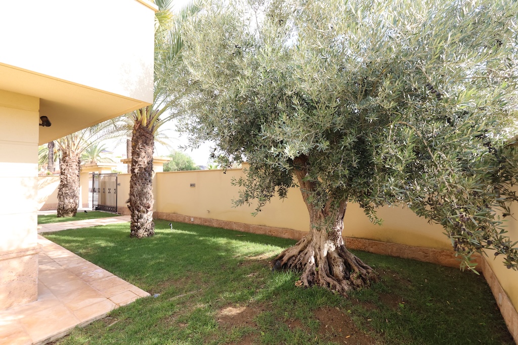 Wiederverkauf - Haus - Cabo Roig