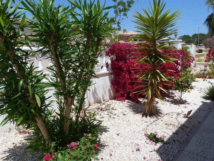 Casa · Reventa - Pilar de la Horadada · Pinar de Campoverde · Alicante · España